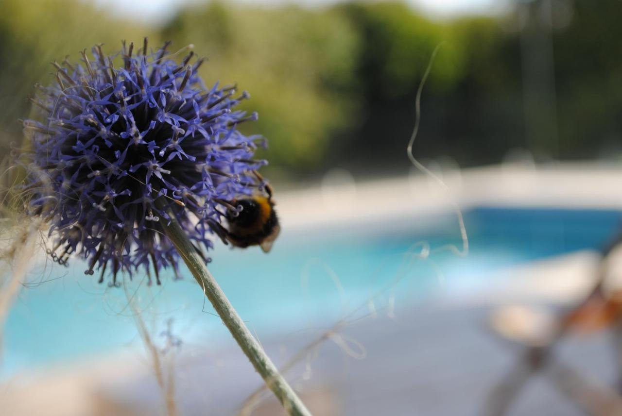 Eco-Gite - Domaine De La Gavolerie Besse-sur-Braye Екстер'єр фото