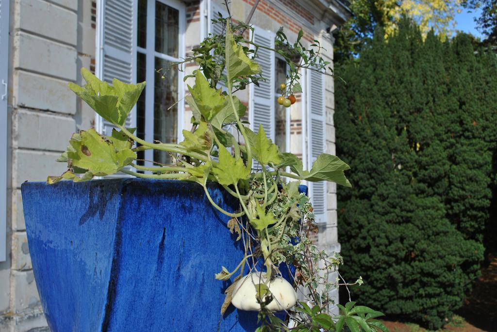 Eco-Gite - Domaine De La Gavolerie Besse-sur-Braye Екстер'єр фото